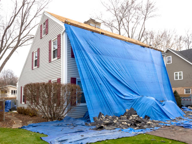 Best Dumpster Rental Services  in Wayzata, MN